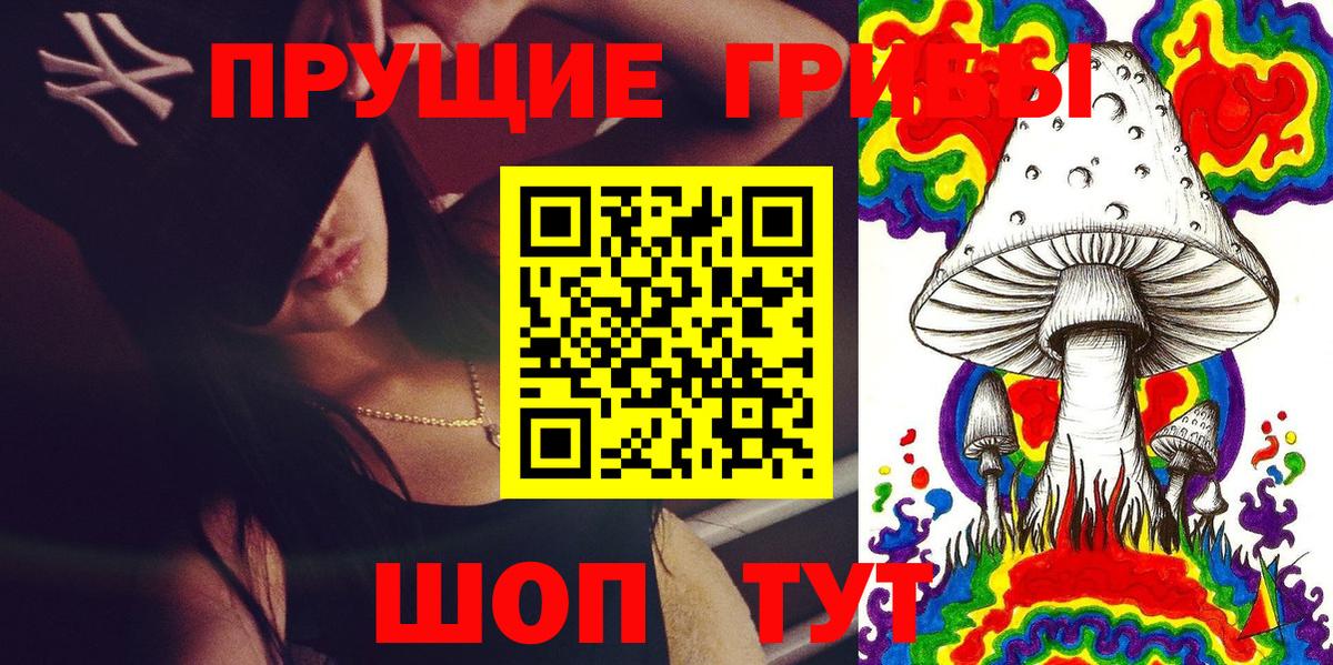 Камень-на-Оби  Псилоцибиновые грибы мухоморы  наркота  Вход с VPN  Галлюциногенные грибы Cubensis 